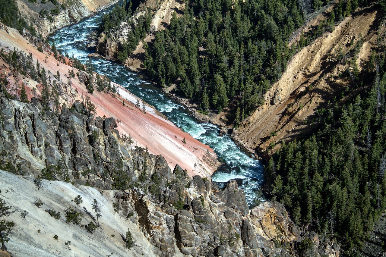 探索姜山秘境，揭开冷门景点的神秘面纱，自然之旅启程！