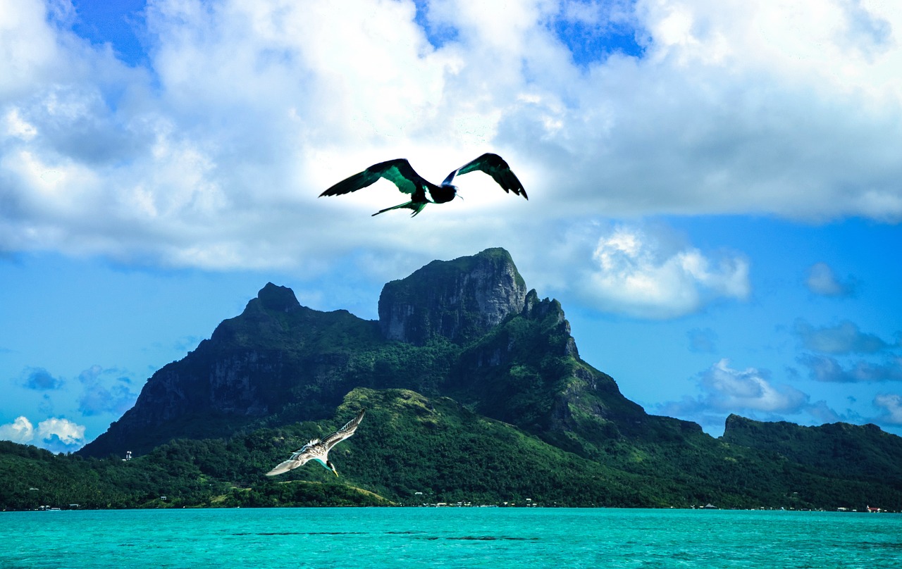 海岛马拉松，与大自然共舞的挑战之旅