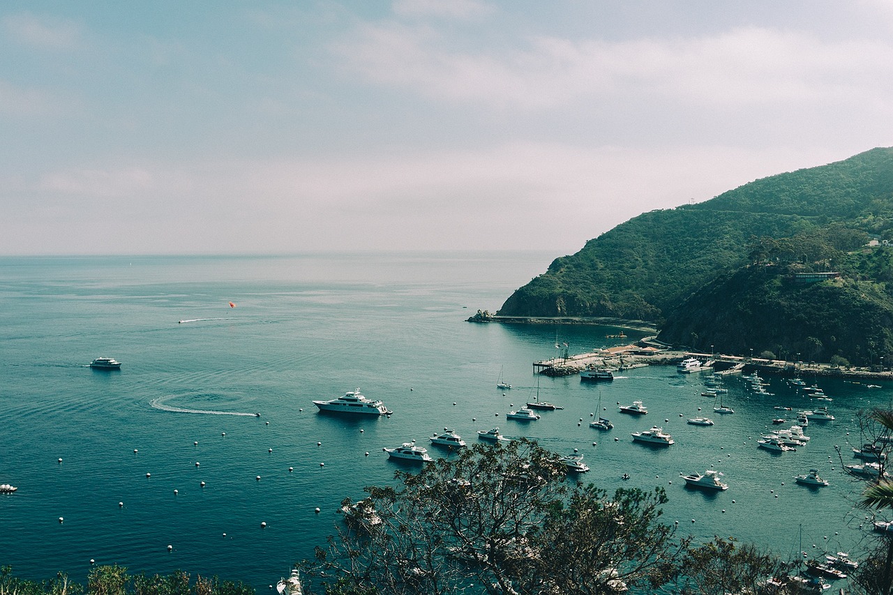 舟山群岛马拉松，海洋之舞与自我对话的盛宴