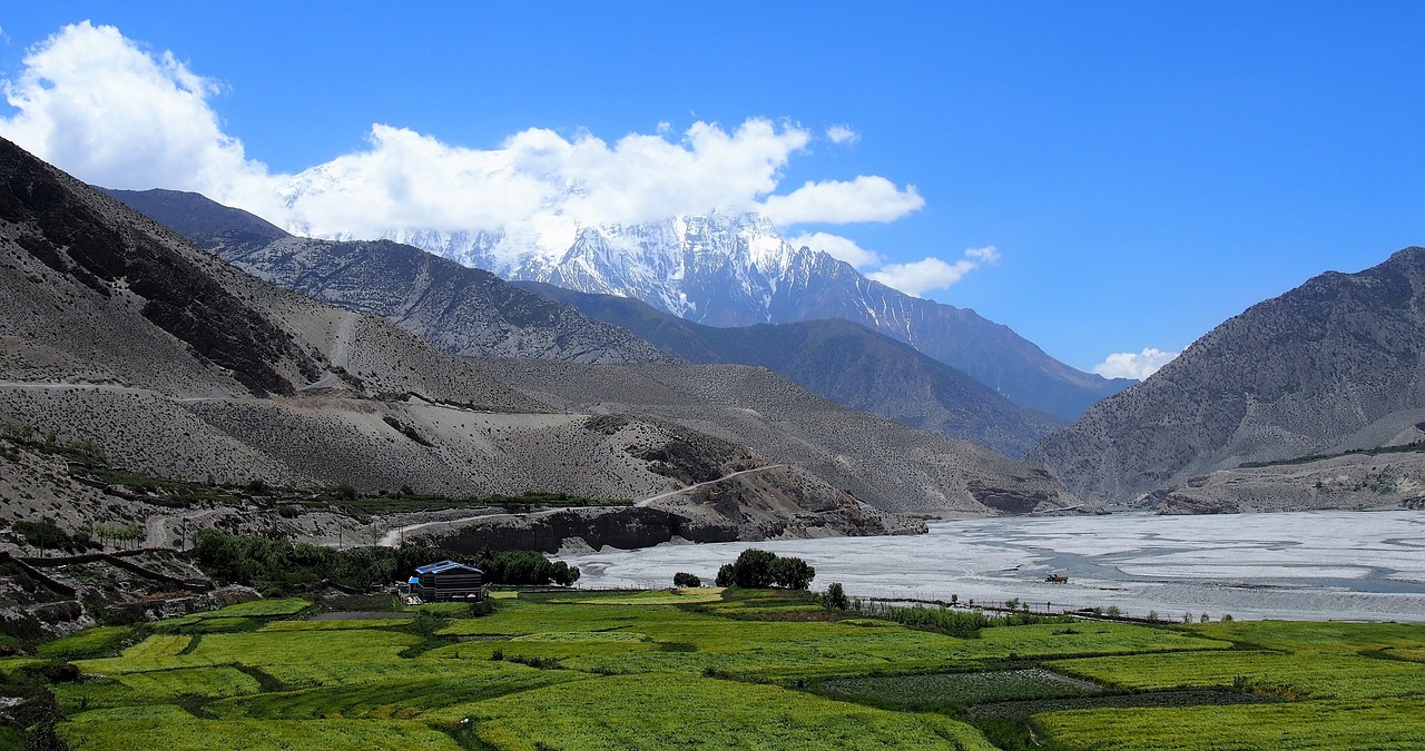 庐江马拉松，在美丽风景线上奔跑